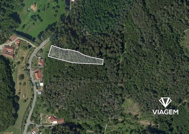 Prodej lesa, Letovice, 2436 m2