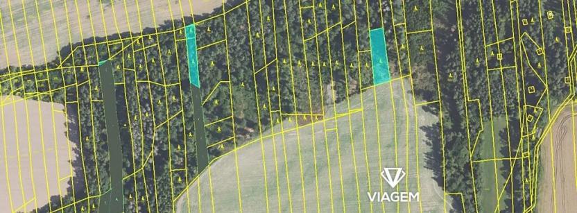 Prodej lesa, Chyňava, 1972 m2