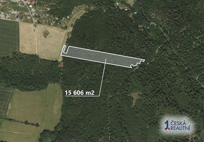 Prodej lesa, Opava, 15606 m2