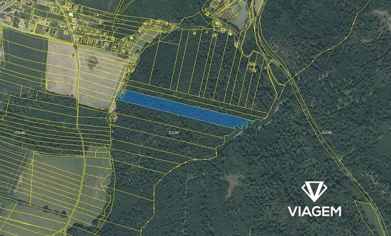 Prodej lesa, Opava, 15606 m2