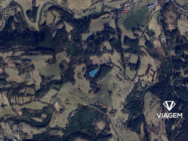 Prodej podílu lesa, Malá Bystřice, 101 m2