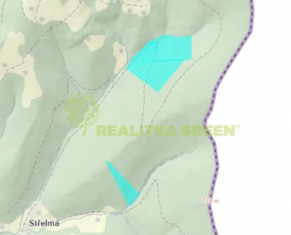 Prodej lesa, Nýdek, 90306 m2