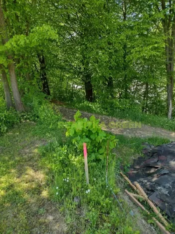 Prodej pozemku pro bydlení, Lhota u Vsetína, 1138 m2