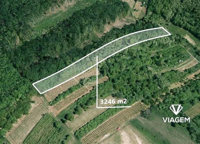 Prodej podílu zahrady, Kobylí, 2840 m2