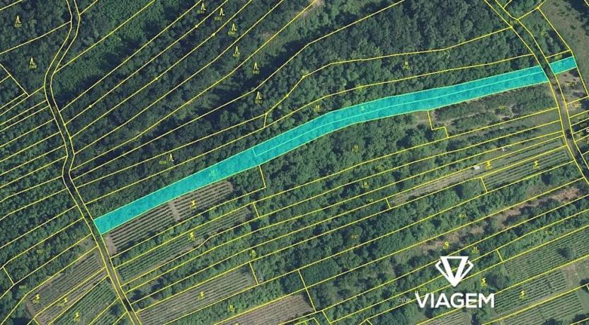 Prodej podílu zahrady, Kobylí, 2840 m2