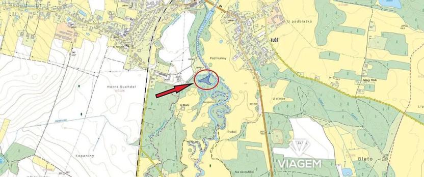 Prodej zahrady, Dvory nad Lužnicí, 4248 m2