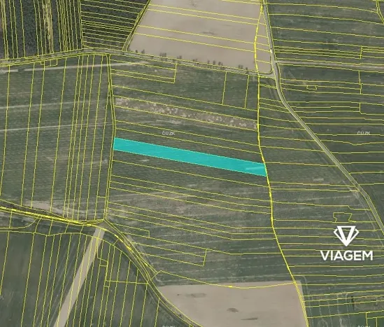 Prodej podílu pole, Slabčice, 2944 m2