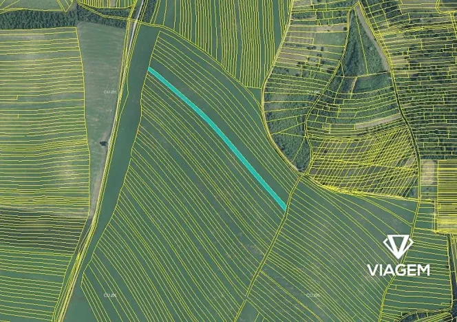 Prodej podílu pole, Uherčice, 1045 m2