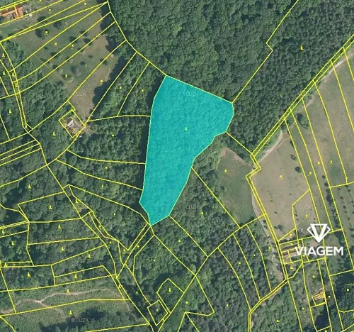 Prodej podílu lesa, Košíky, 2115 m2