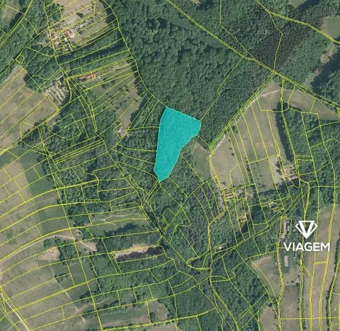 Prodej podílu lesa, Košíky, 2115 m2