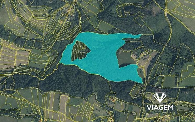 Prodej podílu lesa, Růžďka, 21687 m2