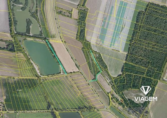 Prodej podílu lesa, Lysá nad Labem, 147 m2