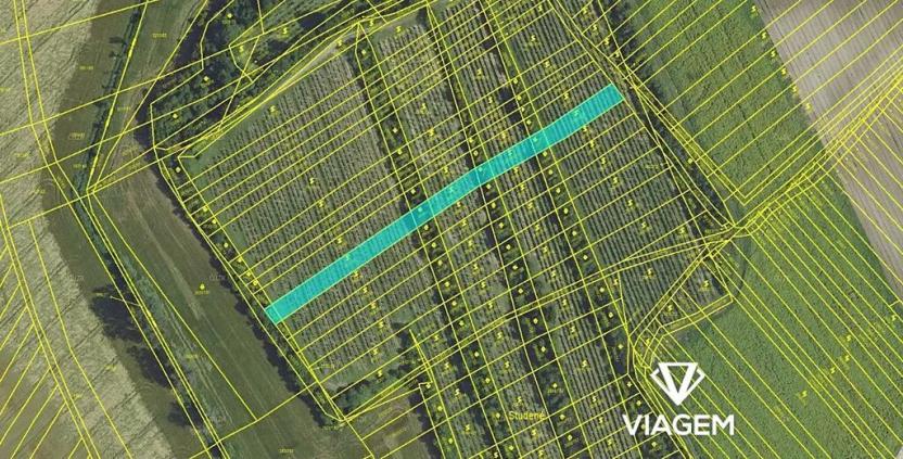 Prodej pole, Čejkovice, 2053 m2