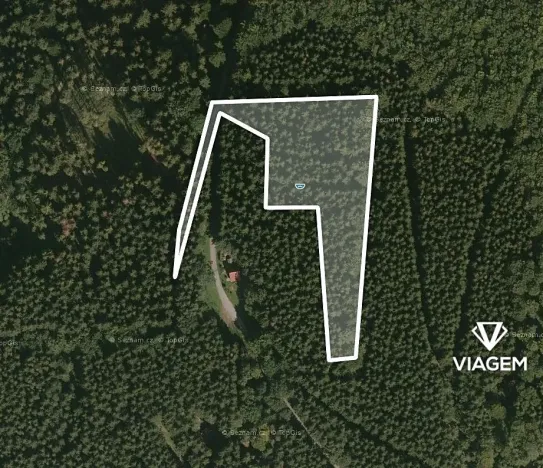 Prodej podílu lesa, Morávka, 5587 m2