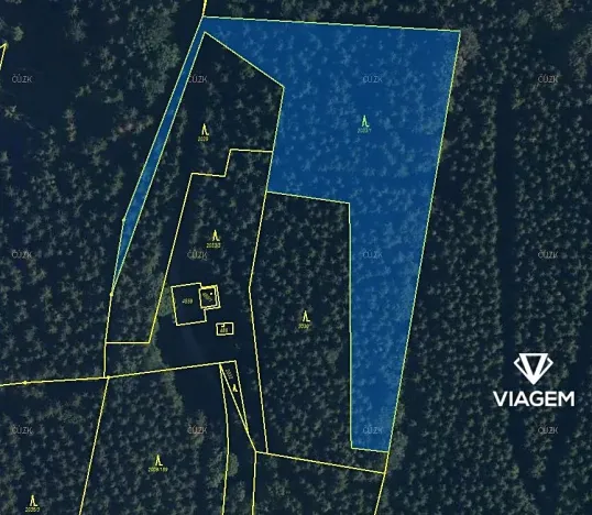 Prodej podílu lesa, Morávka, 5587 m2