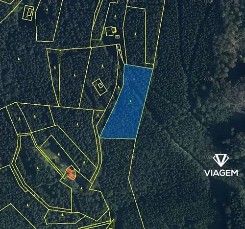 Prodej podílu lesa, Morávka, 4866 m2