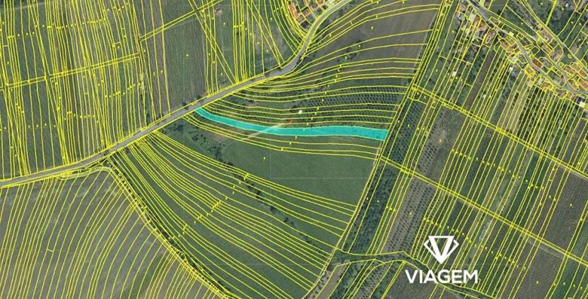 Prodej podílu sadu/vinice, Polešovice, 639 m2