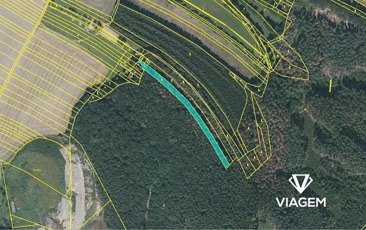 Prodej podílu lesa, Boskovice, 1508 m2