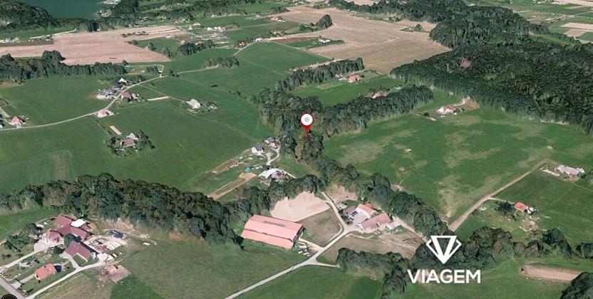 Prodej lesa, Dolní Domaslavice, 2186 m2