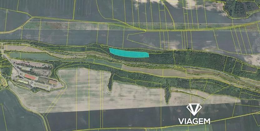 Prodej podílu lesa, Dřetovice, 3036 m2