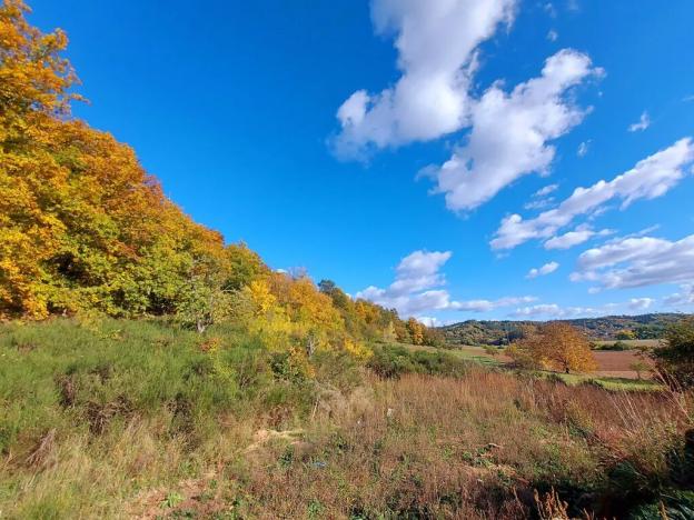 Prodej pozemku pro bydlení, Lomnička, 3600 m2