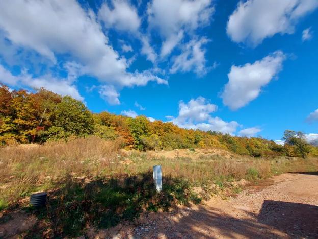 Prodej pozemku pro bydlení, Lomnička, 3600 m2