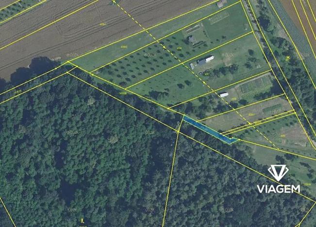 Prodej podílu lesa, Březolupy, 446 m2