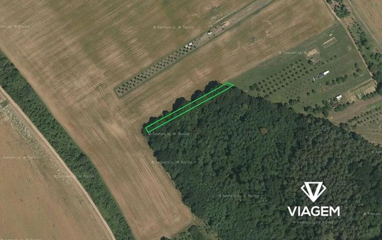 Prodej podílu lesa, Březolupy, 303 m2