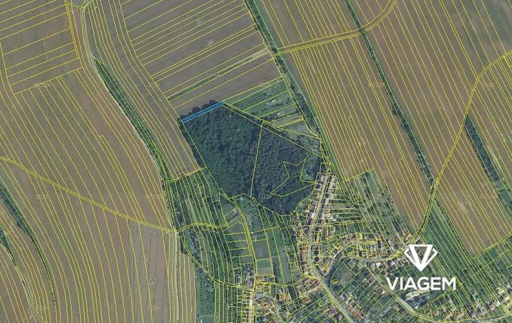 Prodej podílu lesa, Březolupy, 303 m2