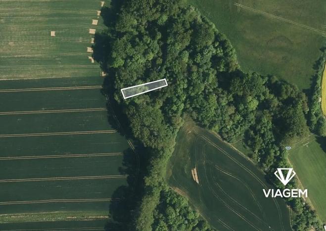 Prodej zahrady, Křenovice, 670 m2