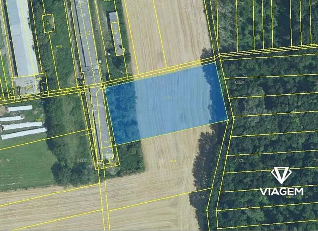 Prodej podílu pole, Klopotovice, 561 m2