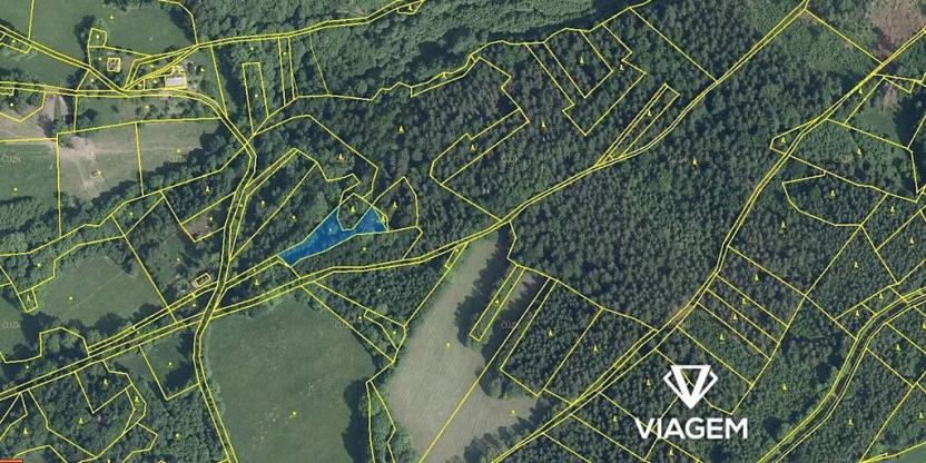 Prodej podílu lesa, Zlatá Olešnice, 569 m2