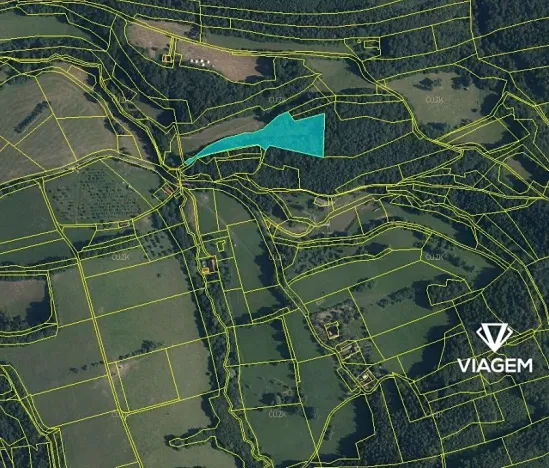 Prodej podílu lesa, Lutonina, 2332 m2