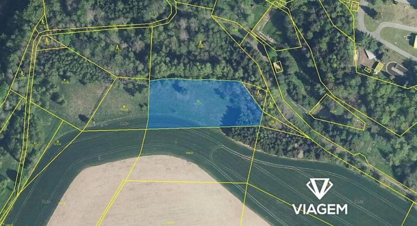Prodej podílu pole, Těchonín, 635 m2