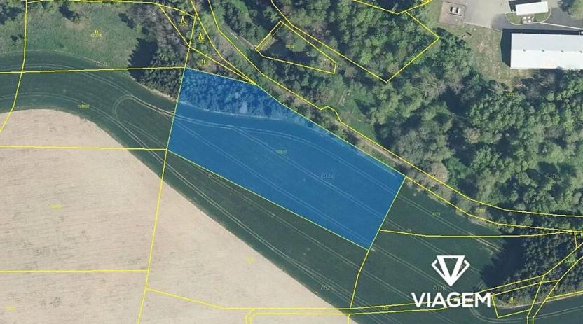 Prodej podílu pole, Těchonín, 1250 m2