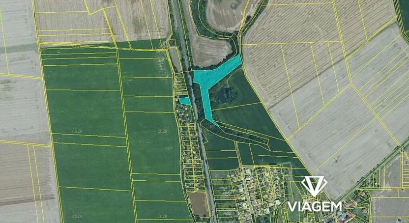 Prodej podílu lesa, Kožušany-Tážaly, 2098 m2