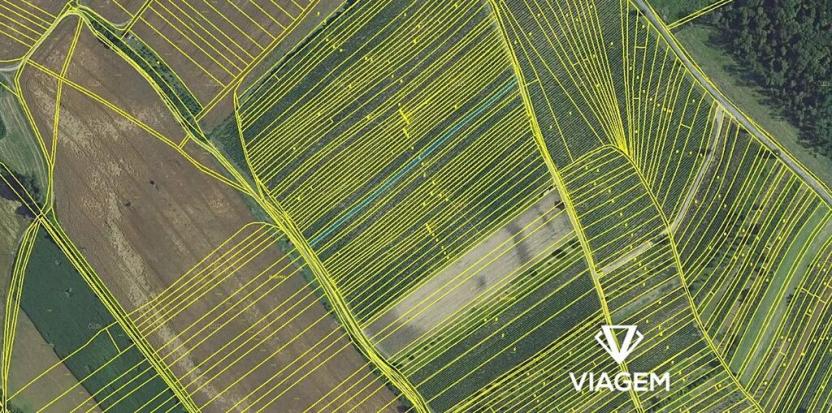 Prodej podílu pole, Dolní Bojanovice, 439 m2