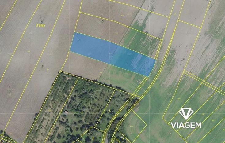 Prodej pole, Chotěšice, 5881 m2