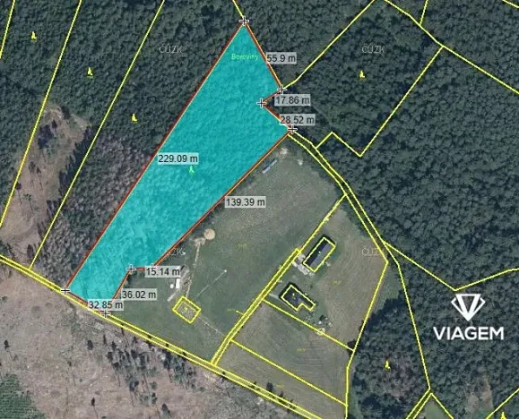 Prodej podílu lesa, Krásná Hora, Kojkovice, 2716 m2