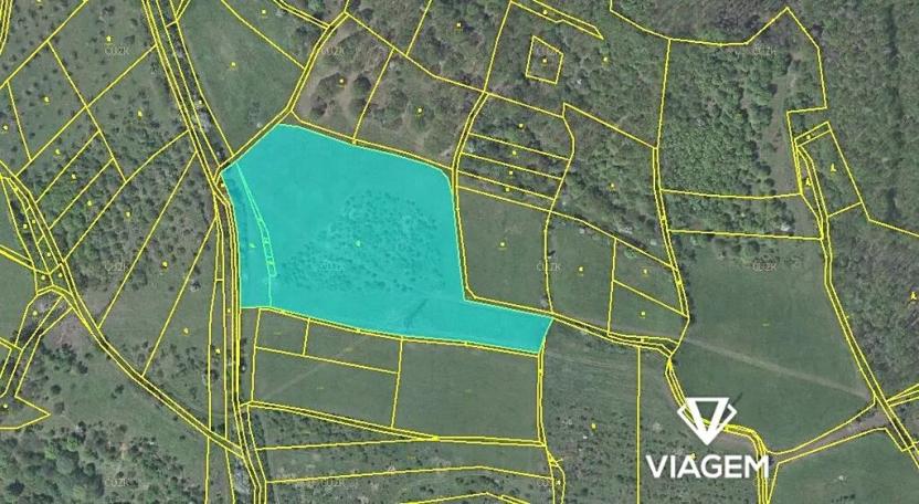 Prodej podílu zahrady, Žitenice, 6595 m2