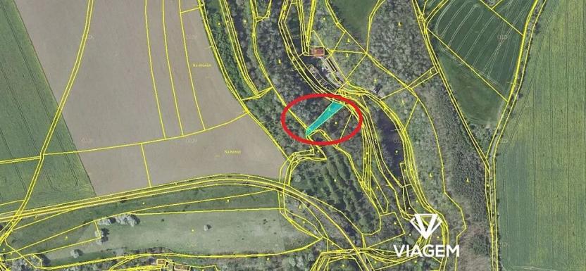 Prodej lesa, Pašinka, 606 m2