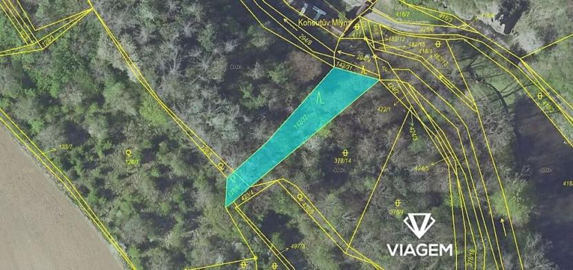 Prodej lesa, Pašinka, 606 m2