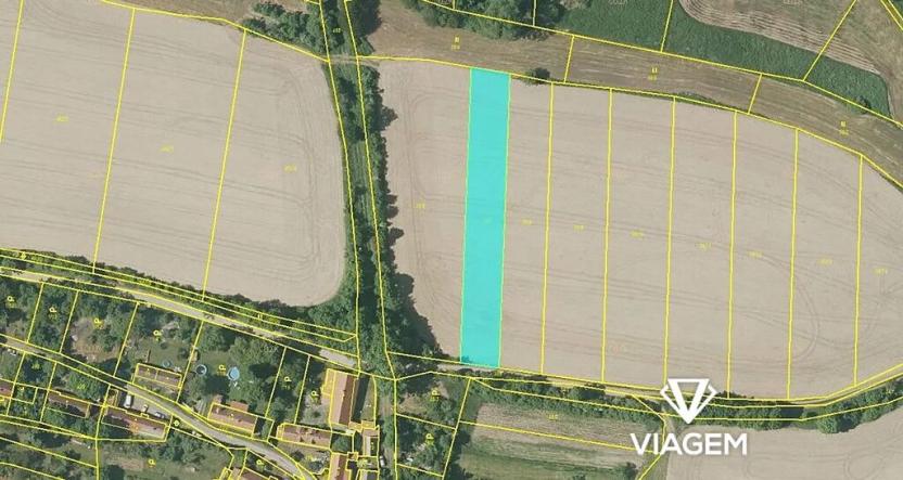 Prodej podílu pole, Chanovice, 221 m2