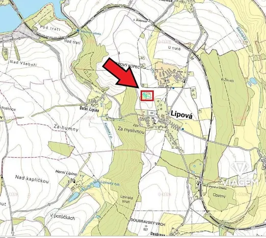 Prodej podílu lesa, Lipová, 2049 m2