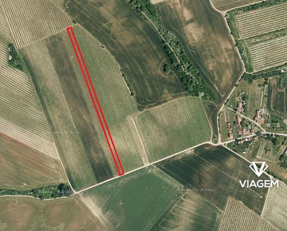 Prodej podílu pole, Valtice, 706 m2