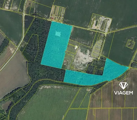 Prodej podílu lesa, Břežany, 7363 m2