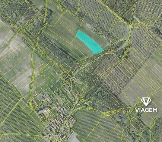 Prodej podílu pole, Horušice, 2336 m2