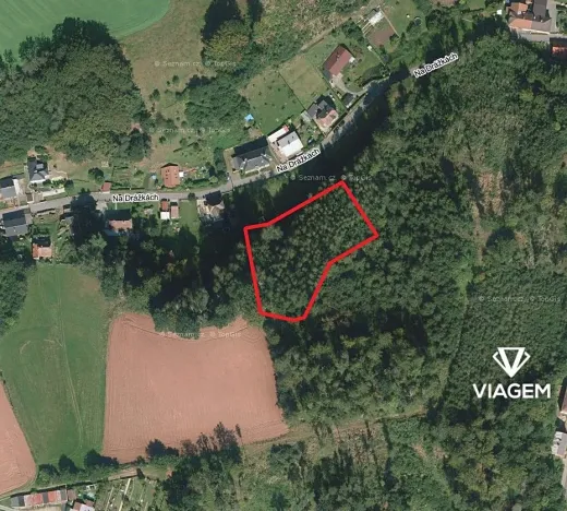 Prodej lesa, Náchod, 3493 m2