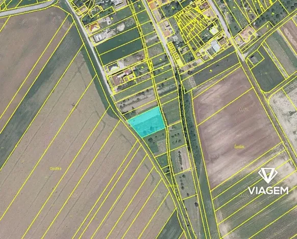 Prodej podílu zahrady, Vedrovice, 419 m2