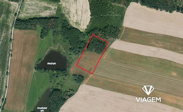 Prodej podílu pole, Přehořov, 1157 m2